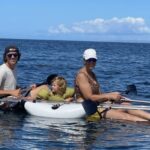 Clear Bottom Glassy Kayak Rental | Safe and Stable Kayaks - Who Is This Tour Best For?