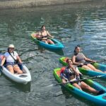 Clear Bottom Kayak Rental for Kings Bay Three Sisters Springs - Final Thoughts: Is it Worth It?