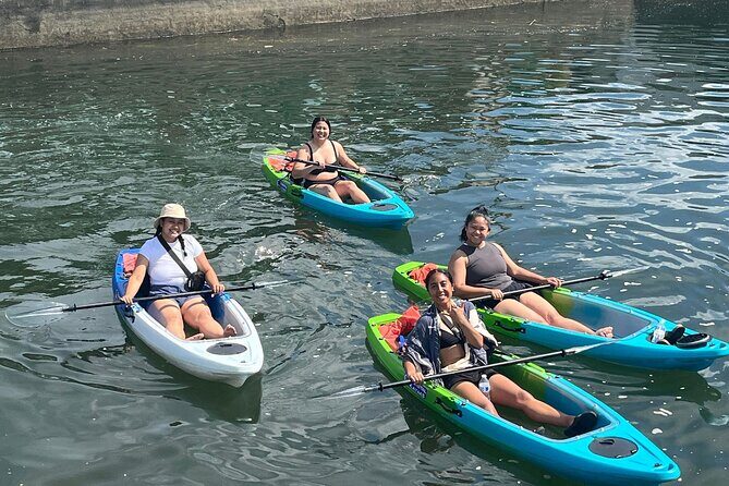 Clear Bottom Kayak Rental for Kings Bay Three Sisters Springs - Final Thoughts: Is it Worth It?