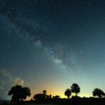 Clear Kayak Bioluminescence Tour - Cocoa Beach - The Experience’s Pros and Cons
