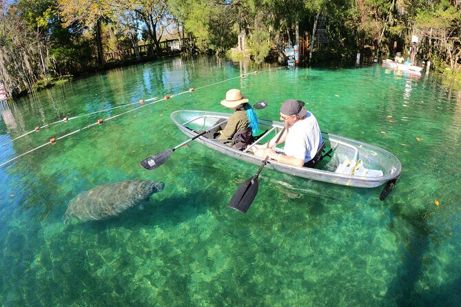 Clear Kayak Manatee Ecotour of Crystal River - Practical Details