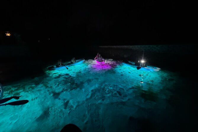 Clear Kayak Manatee Viewing Sunset and Glow Tour of Crystal River - The Sum Up