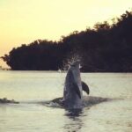 Clear Kayak Sunset Tour - Cocoa Beach - FAQ: Your Questions Answered