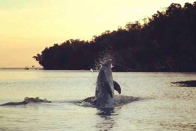 Clear Kayak Sunset Tour - Cocoa Beach - FAQ: Your Questions Answered