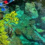 Clear Kayaking Eco Adventure Tour in Marianna - Why This Tour Stands Out