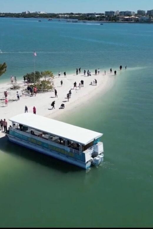 Clearwater Beach: Dolphin & Island Sandbar Cruise