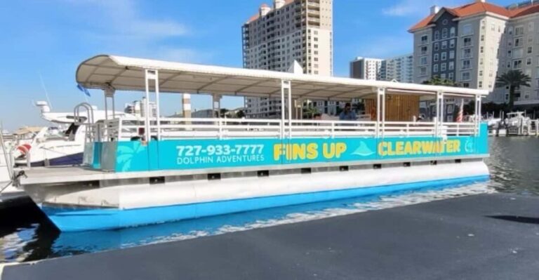 Clearwater Beach: Sunset and Harbor Lights Cruise - Who Will Enjoy This Cruise?