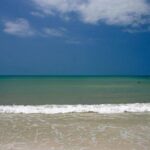 Clearwater Inshore Fishing Charter - Final Thoughts