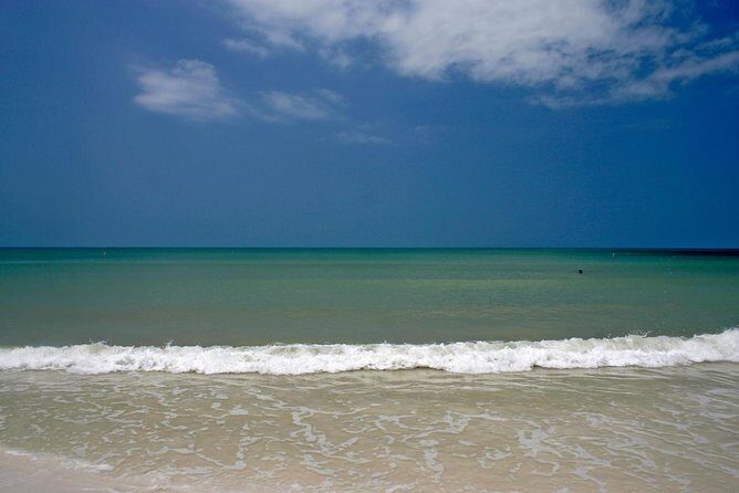 Clearwater Inshore Fishing Charter - Final Thoughts