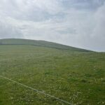 Cliffs of Moher Private Tour from Killarney - Why This Tour Stands Out