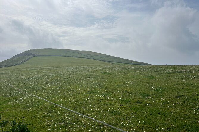 Cliffs of Moher Private Tour from Killarney - Why This Tour Stands Out