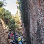 Climbing, Arrábida Natural Park, Setúbal, Sesimbra, near Lisbon - Who Will Love This Tour?