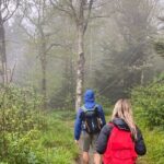 Clingmans Dome Hike - A Deep Dive into the Clingmans Dome Hike Experience