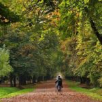 Cluj-Napoca Walking City Tour - Frequently Asked Questions (FAQs)