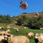 Cluj: Outdoor Activities Day Trip with Zip Line and Hike - The Itinerary in Detail