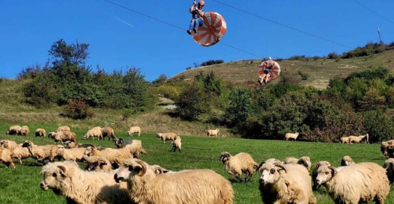 Cluj: Outdoor Activities Day Trip with Zip Line and Hike - The Itinerary in Detail