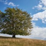 Cluj: Private Nature and Wildlife Photography Class - The Sum Up