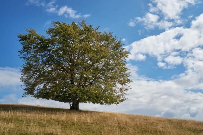 Cluj: Private Nature and Wildlife Photography Class - The Sum Up