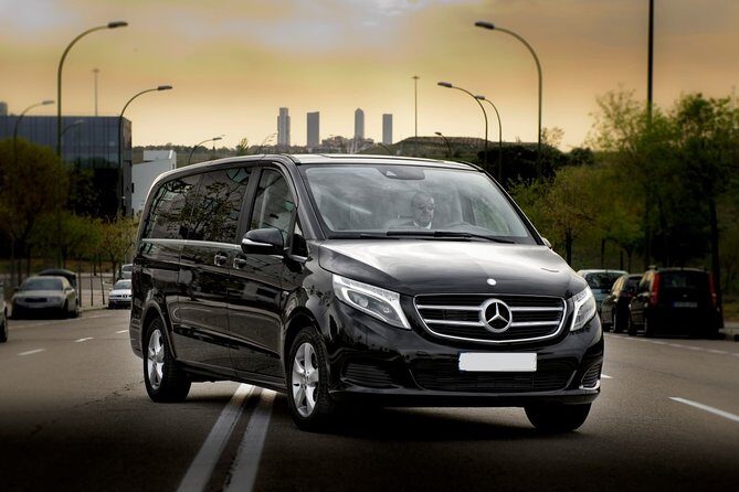 CO2-Offset Arrival Transfer Warsaw Airport WAW to Warsaw City - Who Should Book This Tour?