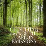CO2-Offset|Luxury Eco Sedan Arrival from BRN Airport to Bern City - Why This Transfer Makes Sense for You