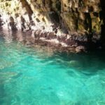 Coast and caves of Polignano:boat tours,drinks,swimming,music and fun - What’s Included and How It Works