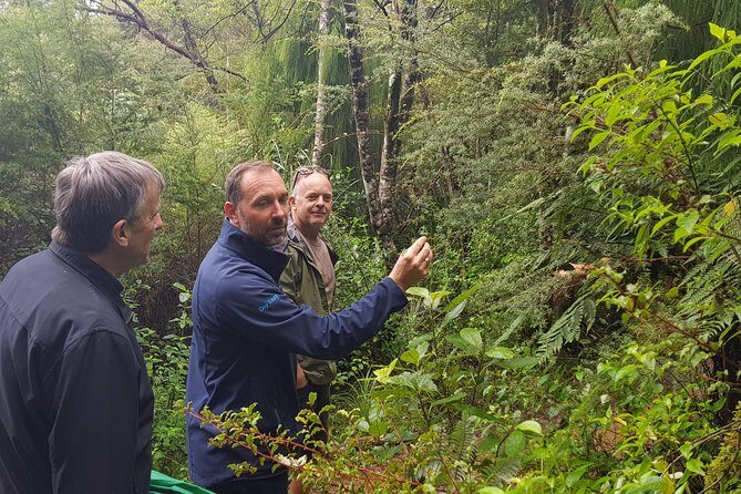 Coast and Rainforest Eco-Tour from Auckland with Picnic Lunch - Why This Tour Offers Great Value