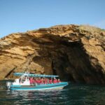Coastal 2.5-hour Adventure Boat Tour from Newcastle - Why This Experience Offers Good Value