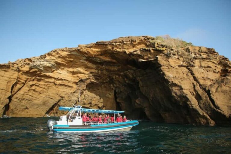 Coastal 2.5-hour Adventure Boat Tour from Newcastle - Why This Experience Offers Good Value