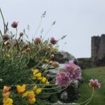 Coasts & Ghosts: Haunted Northumberland - Chillingham Castle - The Sum Up
