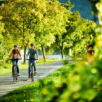 Cochem: Bike and Boat Tour with Picnic and Wine Tasting - Practicalities & Value