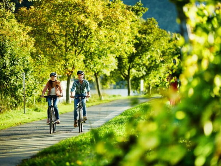 Cochem: Bike and Boat Tour with Picnic and Wine Tasting - Practicalities & Value