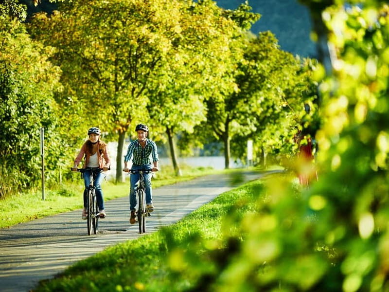 Cochem: Bike and Boat Tour with Picnic and Wine Tasting - Practicalities & Value