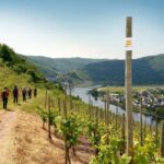 Cochem, Moselle: Wine experience hike with boat trip - Final Thoughts: Is This Tour Worth It?
