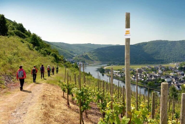 Cochem, Moselle: Wine experience hike with boat trip - Final Thoughts: Is This Tour Worth It?