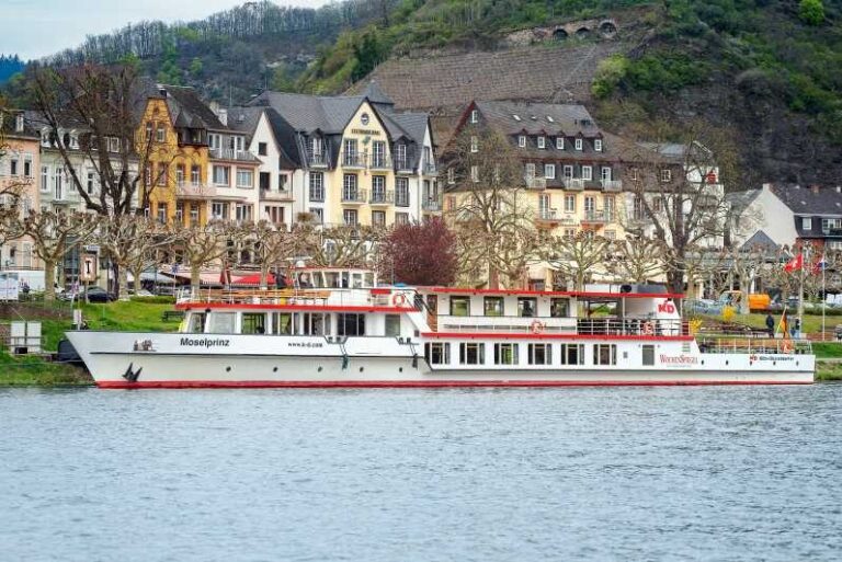 Cochem: Panoramic Cruise on the Moselle River - Who Is This Cruise For?