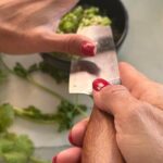 Cocktail Making in Cozumel Mexico - FAQ: Your Questions Answered