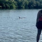 Cocoa Beach: Dolphin and Manatee Kayak or Paddle Tour - The Logistics and Practicalities