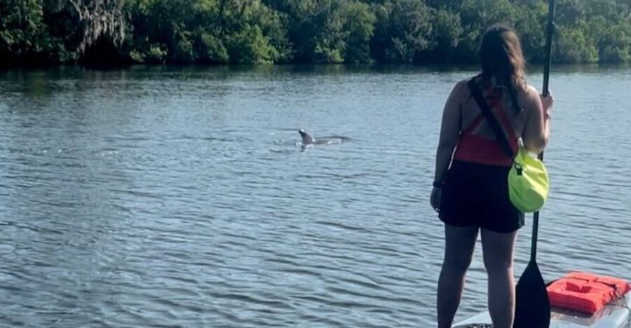 Cocoa Beach: Dolphin and Manatee Kayak or Paddle Tour - The Logistics and Practicalities