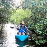 Cocoa Beach/Merritt Island: Guided Dolphin and Manatee Tour - Why This Tour Is a Must-Do
