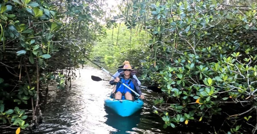 Cocoa Beach/Merritt Island: Guided Dolphin and Manatee Tour - Why This Tour Is a Must-Do