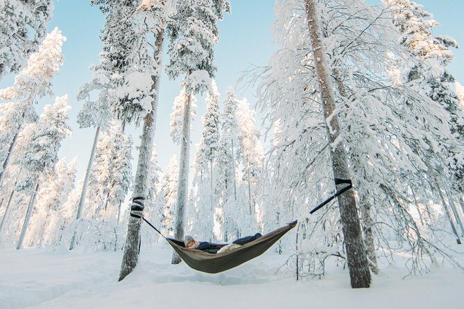 Cocooning in the HaliPuu forest: The ultimate Arctic hammock relaxation - An In-Depth Look at the HaliPuu Hammock Experience