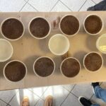 Coffee Sensory Training in Ljubljana - Who Should Consider This Experience?