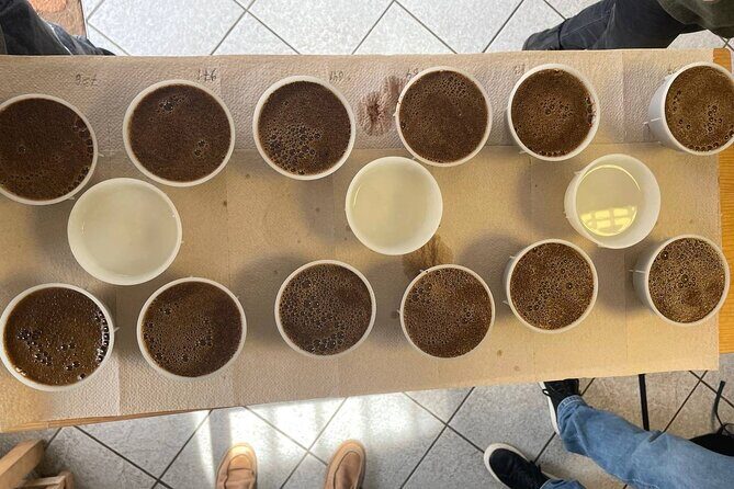 Coffee Sensory Training in Ljubljana - Who Should Consider This Experience?