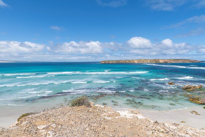 Coffin Bay National Park Half-day 4WD Tour - An In-Depth Look at the Coffin Bay National Park 4WD Tour