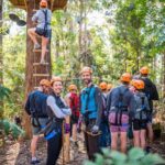 Coffs Harbour: Treetops Adventure Tree Ropes Course - Why This Tour Could Be a Great Choice