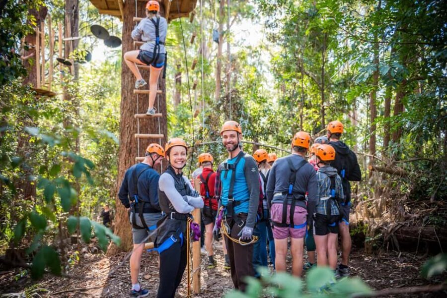 Coffs Harbour: Treetops Adventure Tree Ropes Course - Why This Tour Could Be a Great Choice