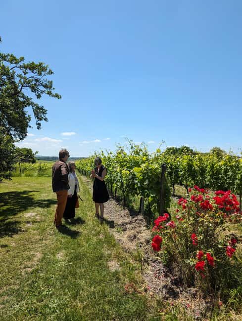 Cognac 4x4 getaway in the vineyards and visit/tasting at a winemaker's estate - Why This Tour Offers Great Value