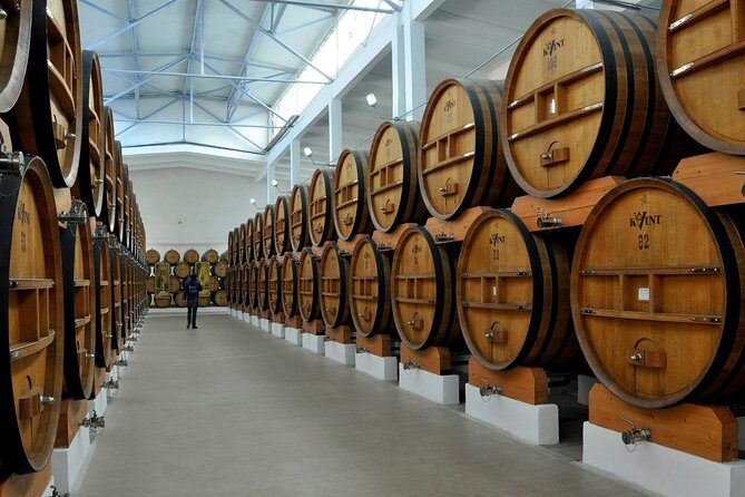 Cognac and Chocolate Tour in Transnistria - Exploring the Kvint Experience: What to Expect