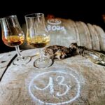 Cognac: Private half-day tour - visits and tastings - 4x4 - Authentic Experiences and Genuine Insights