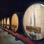 Coimbra: Rota da Bairrada gastronomic tour - Who Will Love This Tour?